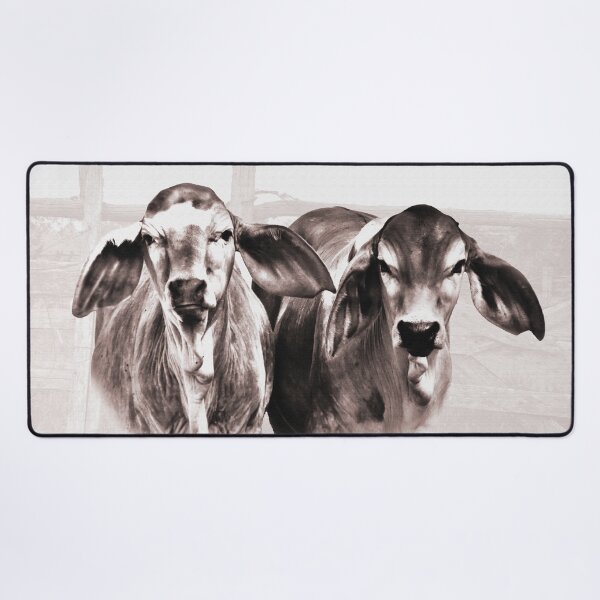 Item preview, BRAHMAN CALVES, GORGIOUS CATTLE FOR COUNTRY THEMED HOME DECOR, WALL ART, COUNTRY WEAR AND MORE designed and sold by Barbara Jean Photo Art And Design.