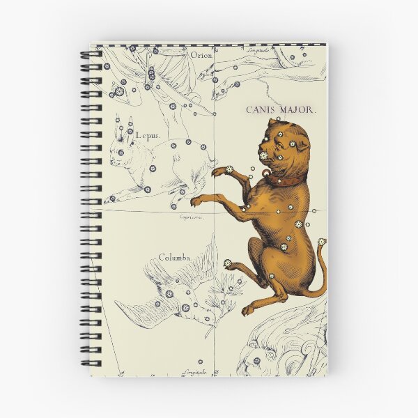 Item preview, Canis Major Constellation, 1687 designed and sold by ScienceSource.