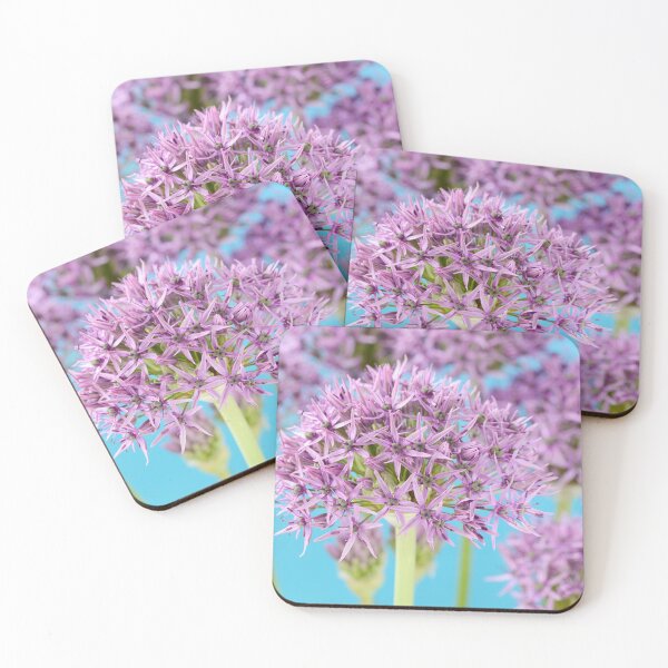 Item preview, Allium stipitatum 'Violet Beauty' designed and sold by Chris Burrows.