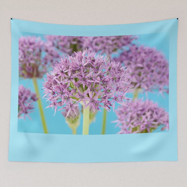 Item preview, Allium stipitatum 'Violet Beauty' designed and sold by Chris Burrows.