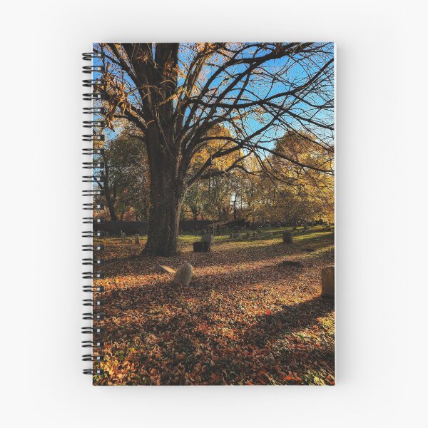 Item preview, Cemetery Sunset Landscape Photograph  designed and sold by TwistedP-Photos.