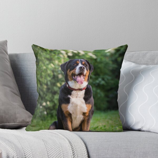 Artikelvorschau, Greater Swiss Mountain Dog (Großer Schweizer Sennenhund)  entworfen und verkauft von WeightPulling.