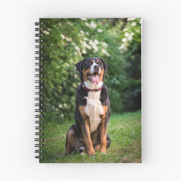 Artikelvorschau, Greater Swiss Mountain Dog (Großer Schweizer Sennenhund)  entworfen und verkauft von WeightPulling.