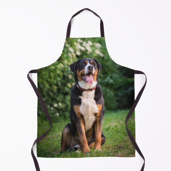 Artikelvorschau, Greater Swiss Mountain Dog (Großer Schweizer Sennenhund) entworfen und verkauft von WeightPulling.