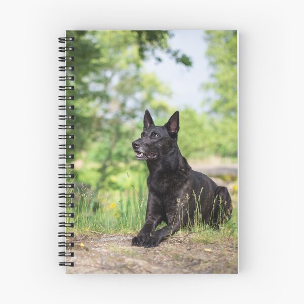 Item preview, Hollandse Herder designed and sold by WeightPulling.