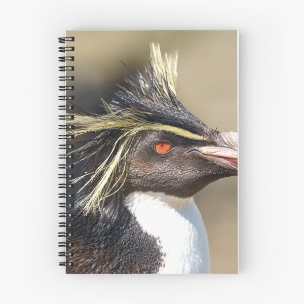 Item preview, Erect-crested penguin designed and sold by rawshutterbug.