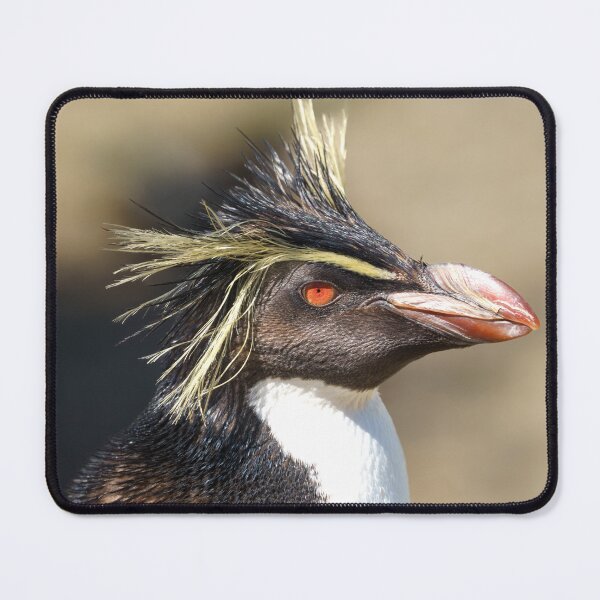Item preview, Erect-crested penguin designed and sold by rawshutterbug.
