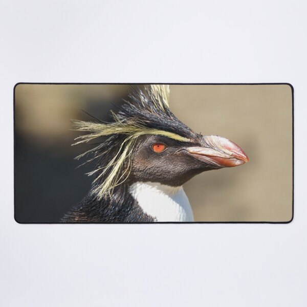 Item preview, Erect-crested penguin designed and sold by rawshutterbug.
