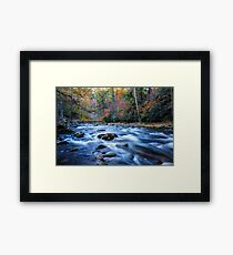 Fall in the Smokies Framed Print
