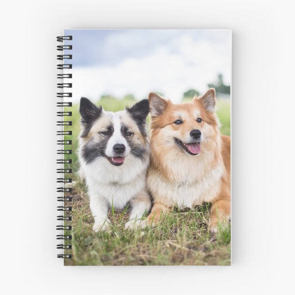 Artikelvorschau, Zwei Islandhunde (two Icelandic Dogs) entworfen und verkauft von WeightPulling.
