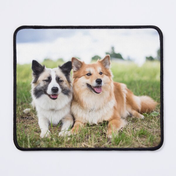 Item preview, Two Icelandic Dogs designed and sold by WeightPulling.