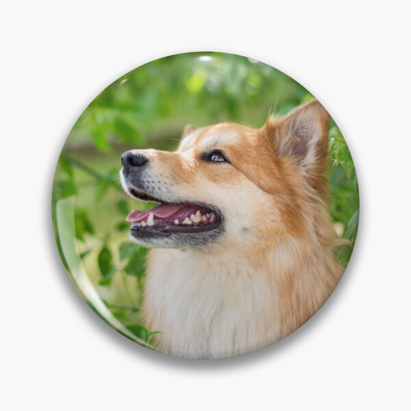 Artikelvorschau, Islandhund (Icelandic Dog) entworfen und verkauft von WeightPulling.