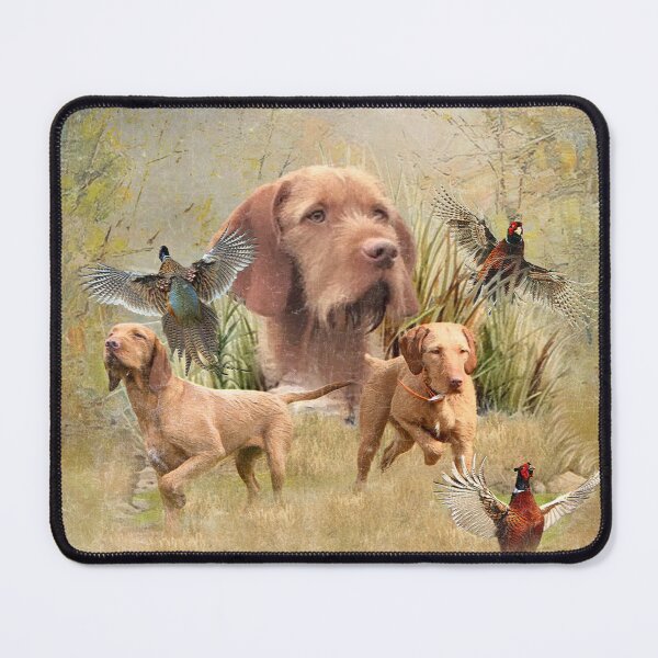 Item preview, The Hungarian Wirehaired Vizsla , Pheasant Hunting designed and sold by TammyHunterArt.