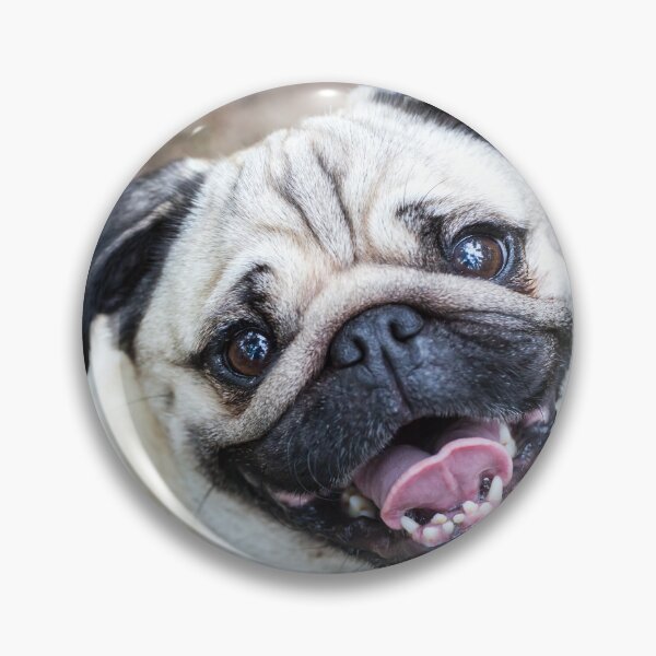 Item preview, Doguillo designed and sold by WeightPulling.