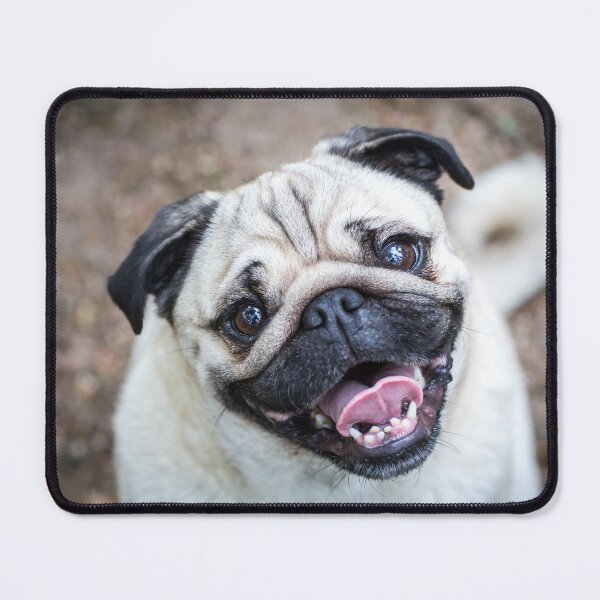 Item preview, Pug designed and sold by WeightPulling.