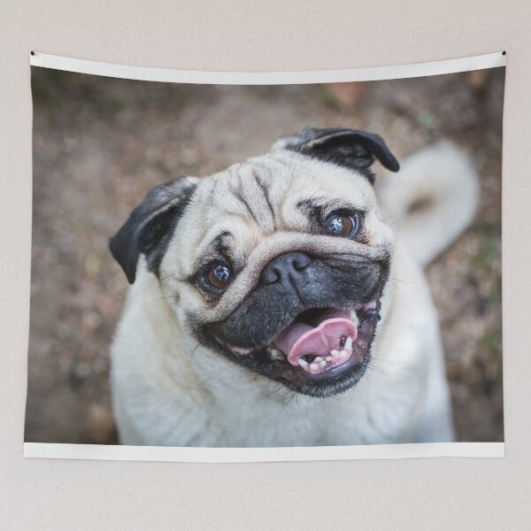 Item preview, Pug designed and sold by WeightPulling.