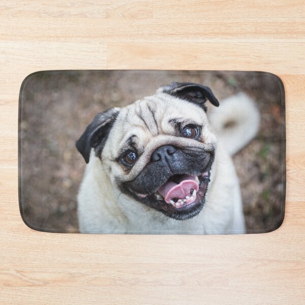 Item preview, Pug designed and sold by WeightPulling.