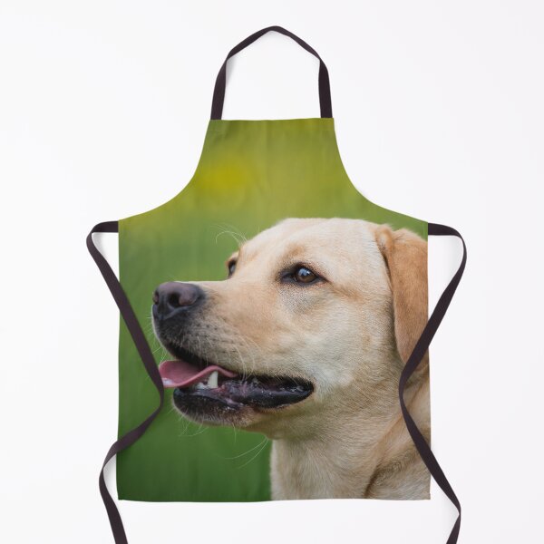 Item preview, Labrador retrievers designed and sold by WeightPulling.