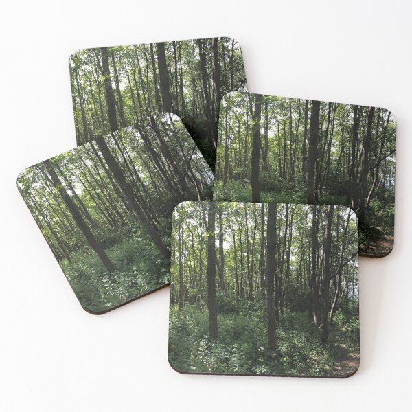 Item preview, green forest brightly illuminated by the sun, panorama designed and sold by mrivserg.