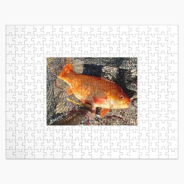 Fish Jigsaw Puzzles for Sale