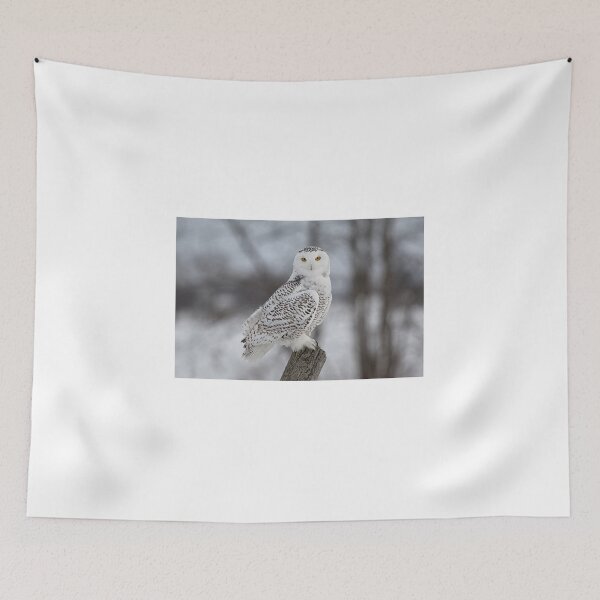 Item preview, Snowy Owl designed and sold by Eunice Gibb.