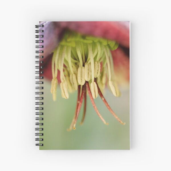 Upside Down Spiral Notebook
