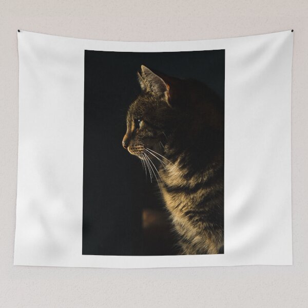 Item preview, cat photography designed and sold by MailineShop.