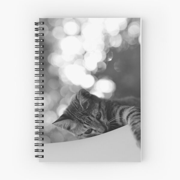 Artikelvorschau, schwarze und weiße Katze entworfen und verkauft von MailineShop.