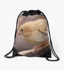 Attentive Drawstring Bag
