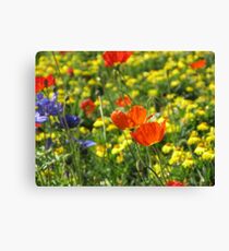 Disney Poppy Canvas Print
