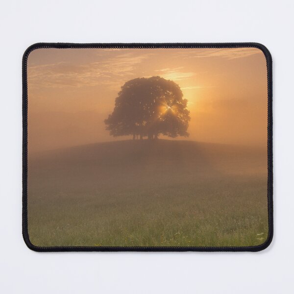 Item preview, A morning in the Dales. designed and sold by john lever.