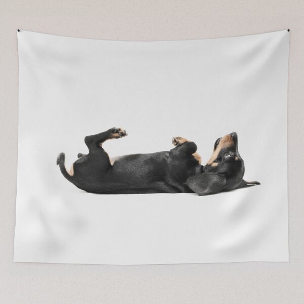 Item preview, Playful Dachshund Puppy designed and sold by ernest123.