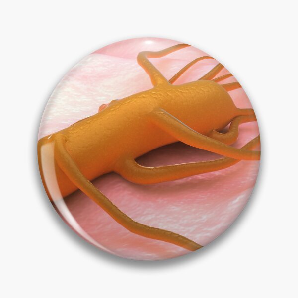 Item preview, STK701658H-Bacteria Salmonella Typhi, which causes typhoid fever. designed and sold by StocktrekImages.