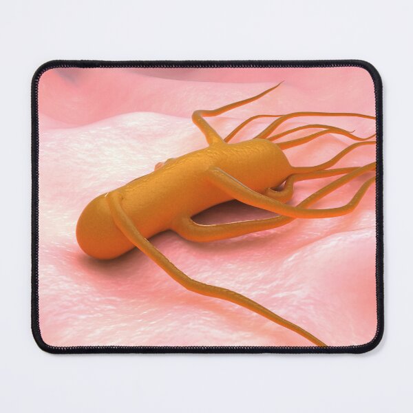 Item preview, STK701658H-Bacteria Salmonella Typhi, which causes typhoid fever. designed and sold by StocktrekImages.