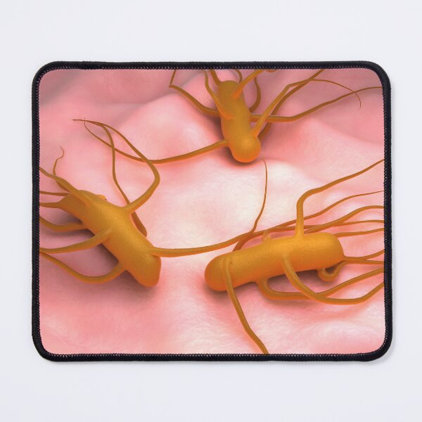 Item preview, STK701659H-Bacteria Salmonella Typhi, which causes typhoid fever. designed and sold by StocktrekImages.