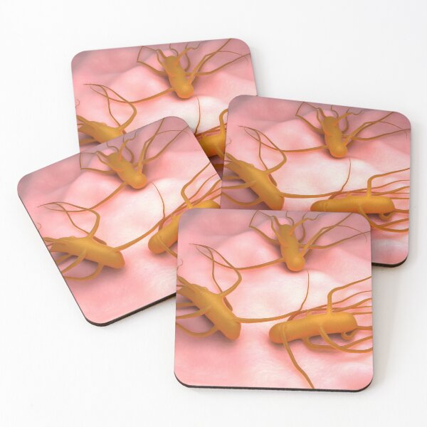Item preview, STK701659H-Bacteria Salmonella Typhi, which causes typhoid fever. designed and sold by StocktrekImages.