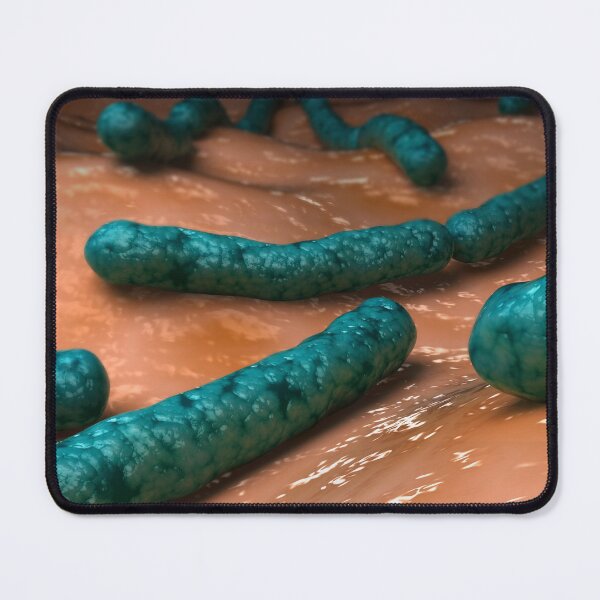 Item preview, STK701662H-Streptobacillus moniliformis bacteria. designed and sold by StocktrekImages.