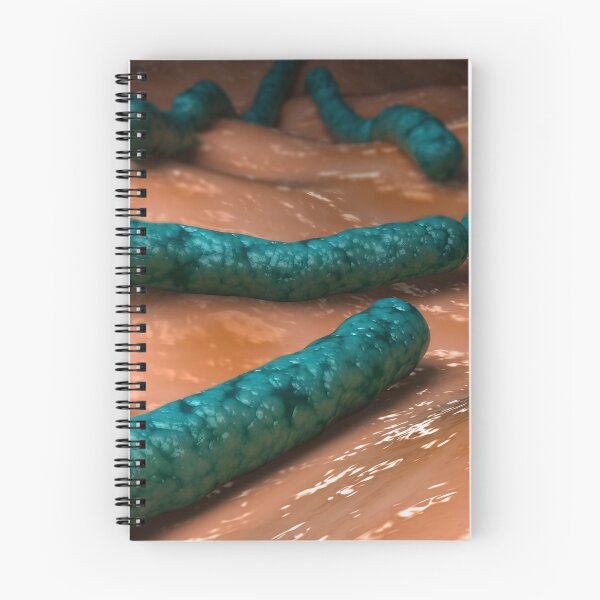 Item preview, STK701662H-Streptobacillus moniliformis bacteria. designed and sold by StocktrekImages.