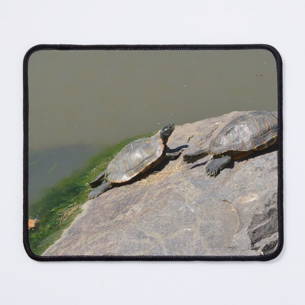 Item preview, Two turtles enjoying the sunshine on a rock designed and sold by Paula Betz.