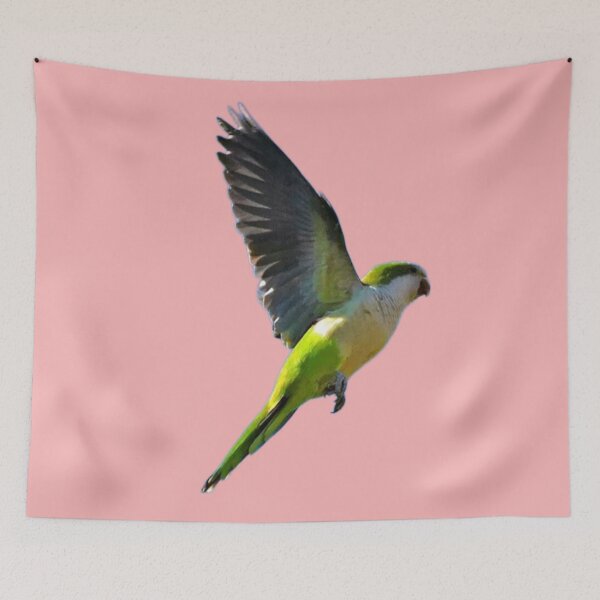 Item preview, Quaker Parrot designed and sold by Lar888.