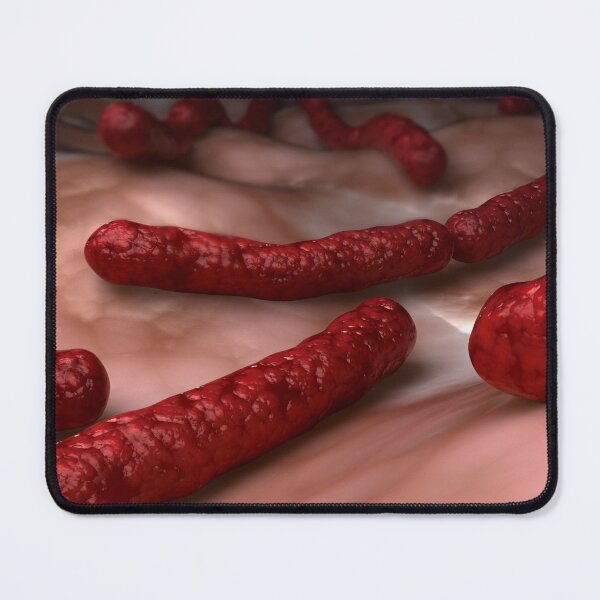 Item preview, STK701663H-Streptobacillus moniliformis bacteria. designed and sold by StocktrekImages.