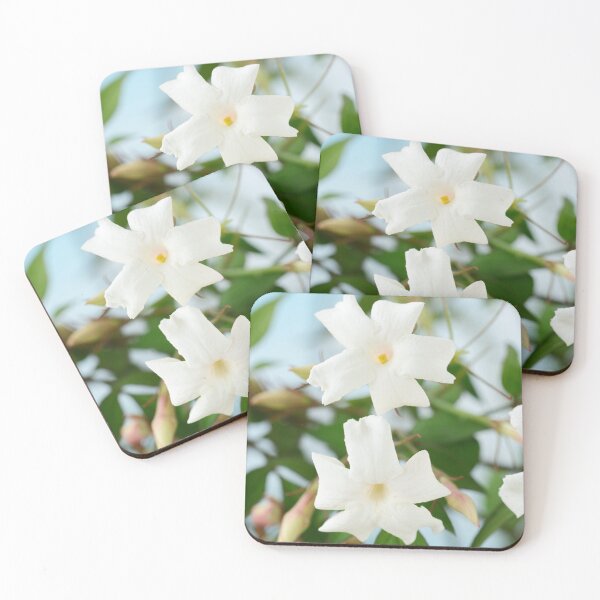 Item preview, Jasminum officinale  Common jasmine  designed and sold by Chris Burrows.