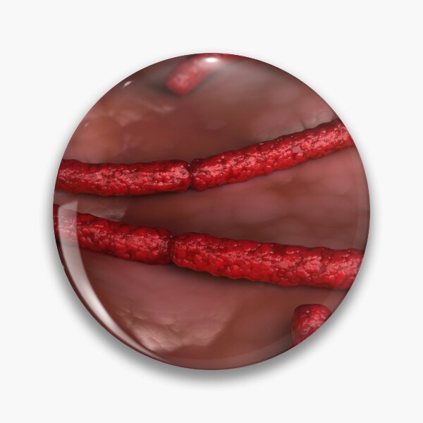 Item preview, STK701664H-Streptobacillus moniliformis bacteria. designed and sold by StocktrekImages.