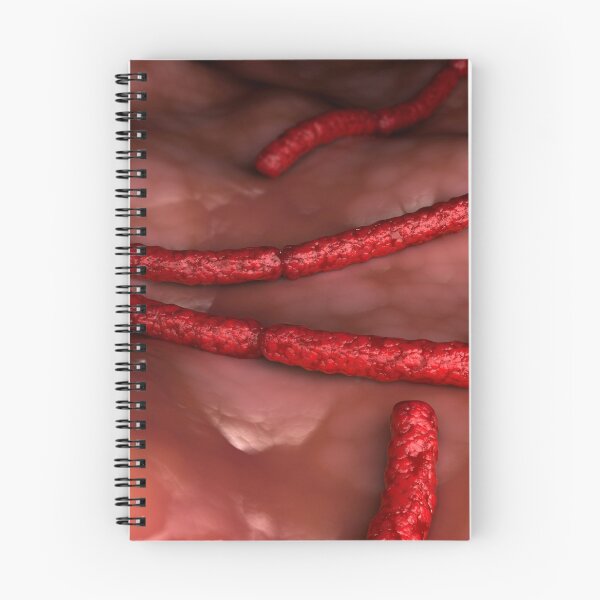 Item preview, STK701664H-Streptobacillus moniliformis bacteria. designed and sold by StocktrekImages.