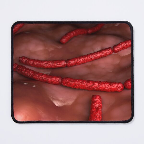 Item preview, STK701664H-Streptobacillus moniliformis bacteria. designed and sold by StocktrekImages.