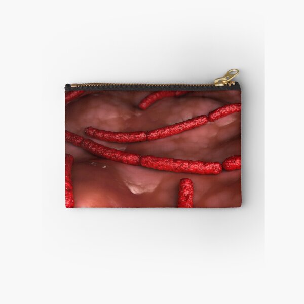 Item preview, STK701664H-Streptobacillus moniliformis bacteria. designed and sold by StocktrekImages.