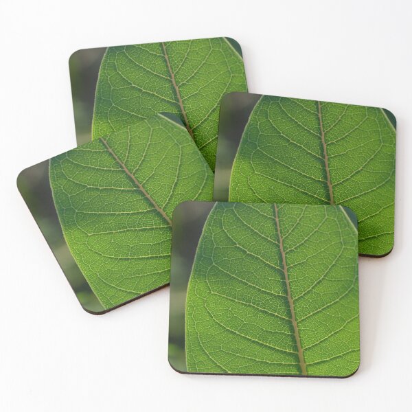 Item preview, Leaf veins in sunlight designed and sold by Paula Betz.