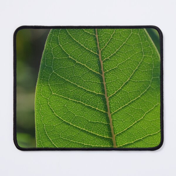 Item preview, Leaf veins in sunlight designed and sold by Paula Betz.