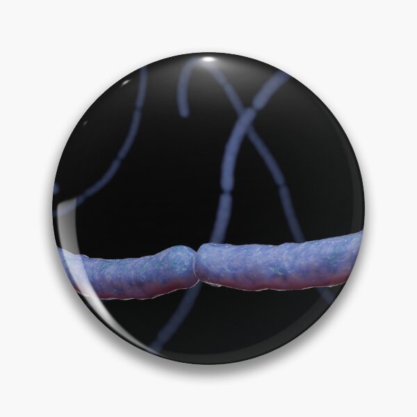 Item preview, STK701665H-Streptobacillus moniliformis bacteria. designed and sold by StocktrekImages.