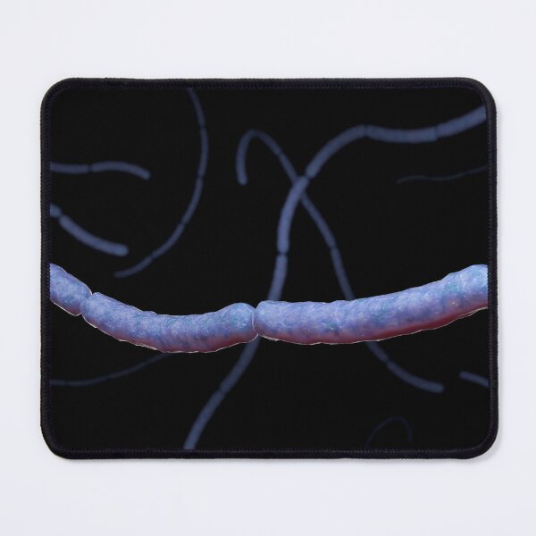 Item preview, STK701665H-Streptobacillus moniliformis bacteria. designed and sold by StocktrekImages.